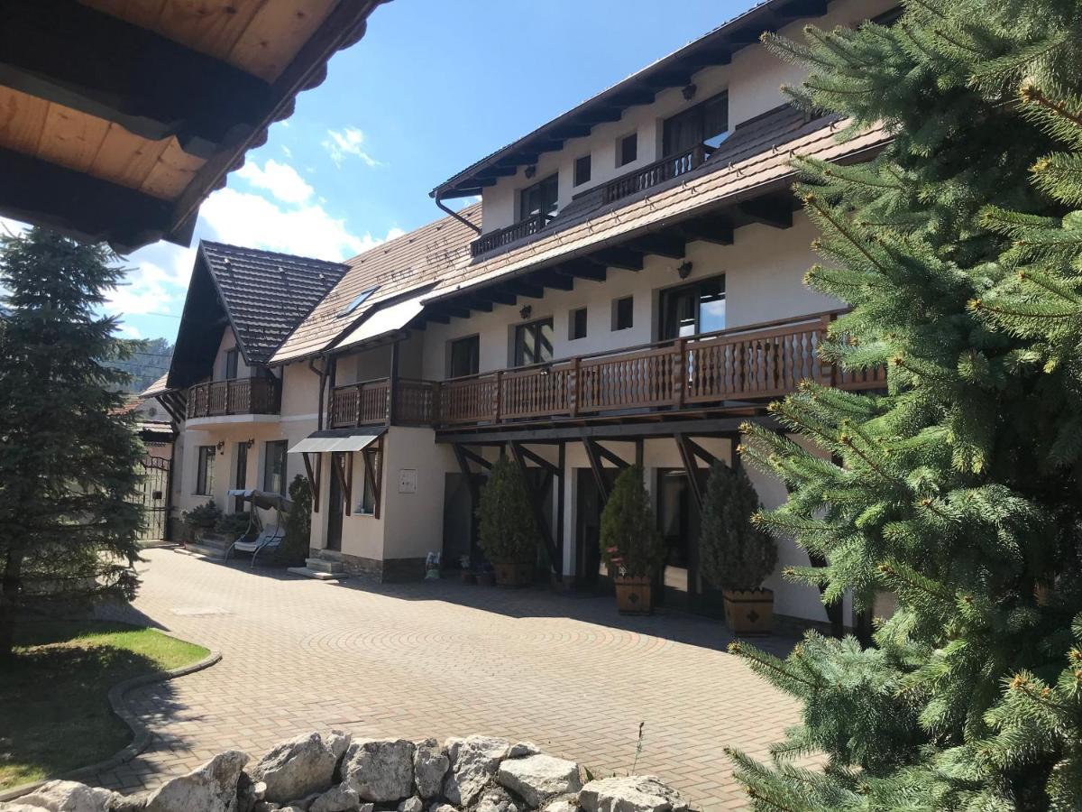 Pensiunea Haiduc Sacele Brasov Екстер'єр фото