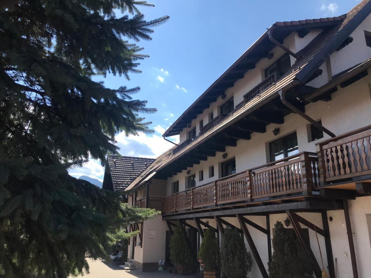 Pensiunea Haiduc Sacele Brasov Екстер'єр фото