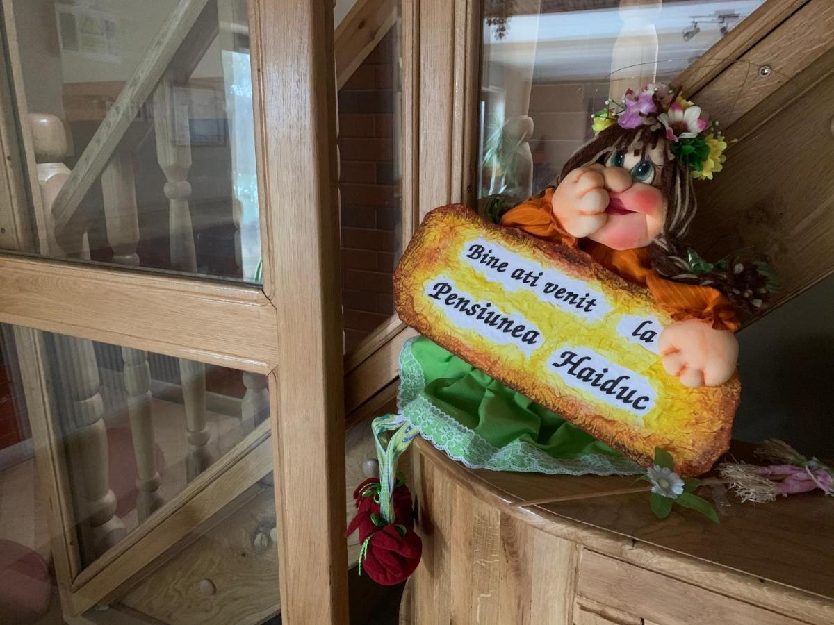 Pensiunea Haiduc Sacele Brasov Екстер'єр фото