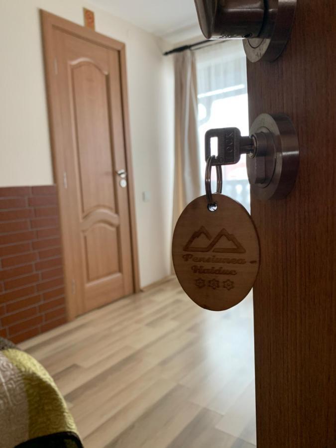 Pensiunea Haiduc Sacele Brasov Екстер'єр фото